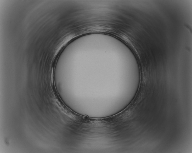 X0000103231227200809111523