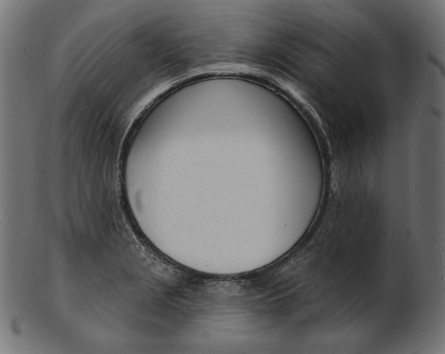 X0000103231229200809111523