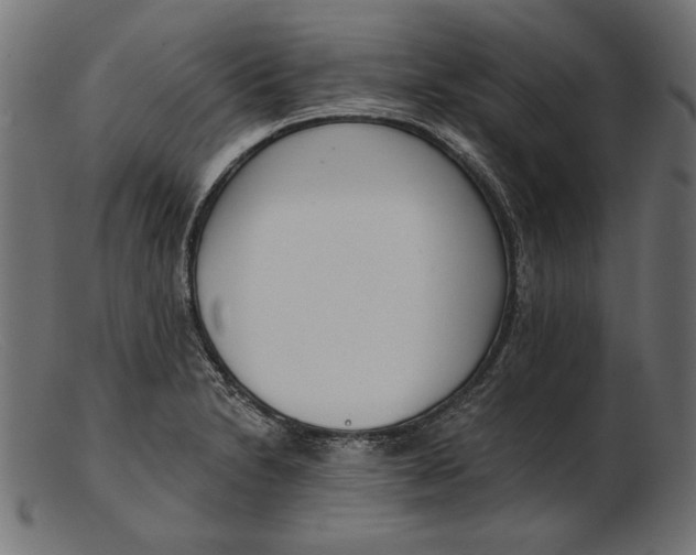 X0000103231230200809111523