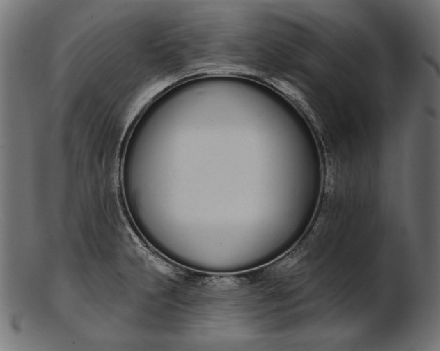 X0000103231231200809111523