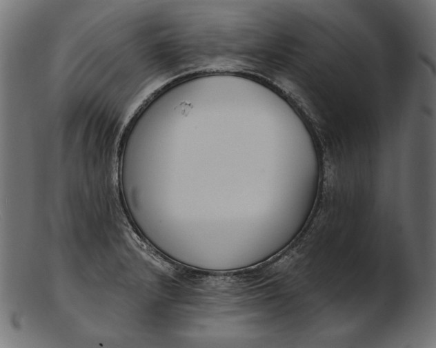 X0000103231232200809111523