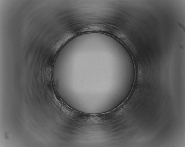 X0000103231233200809111523