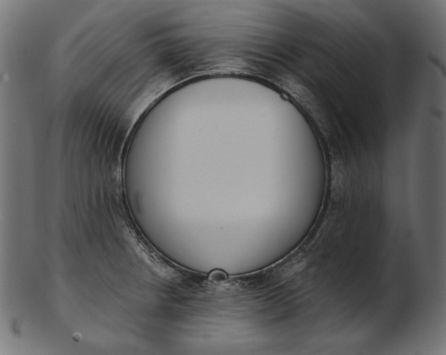 X0000103231234200809111523