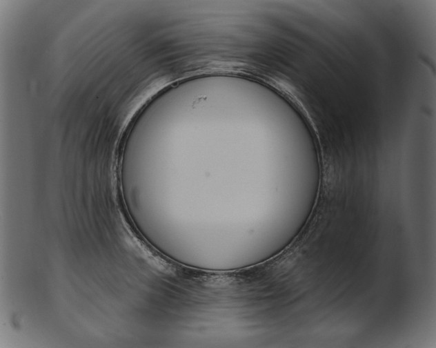 X0000103231235200809111523