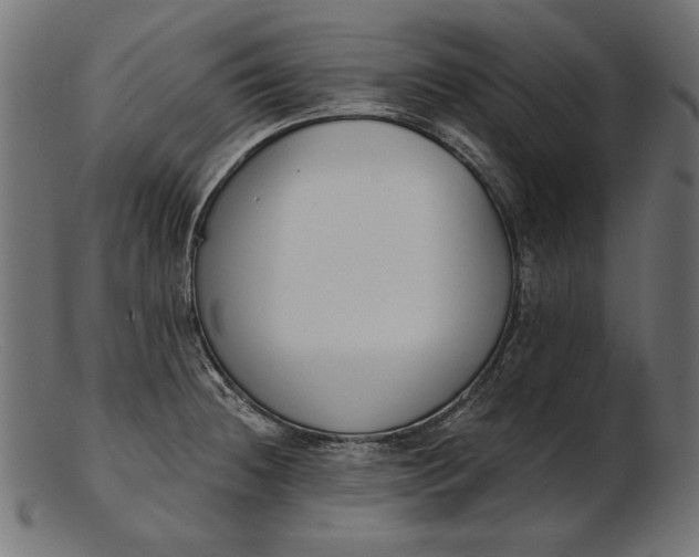 X0000103231236200809111523