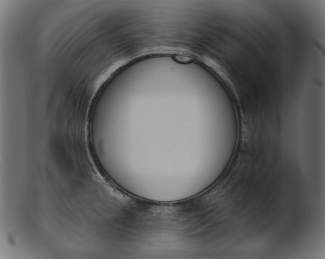 X0000103231237200809111523