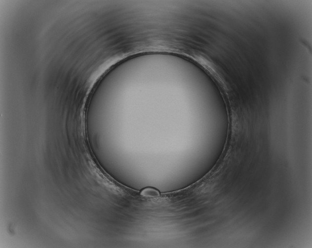 X0000103231238200809111523