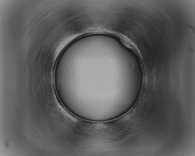 X0000103231239200809111523