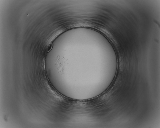 X0000103231241200809111523