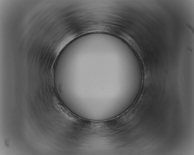 X0000103231242200809111523