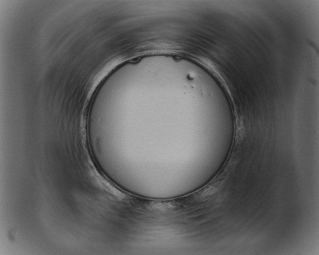X0000103231243200809111523