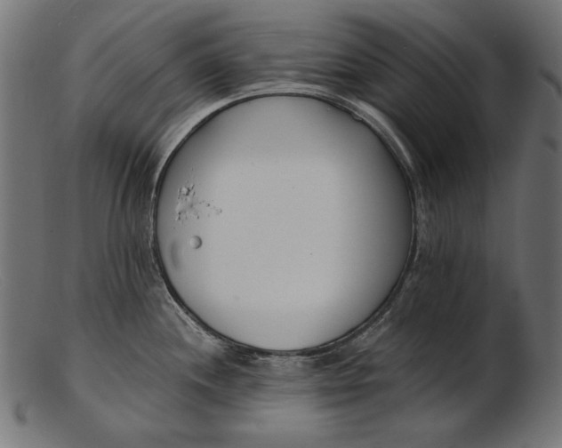 X0000103231244200809111523