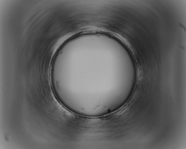 X0000103231247200809111523