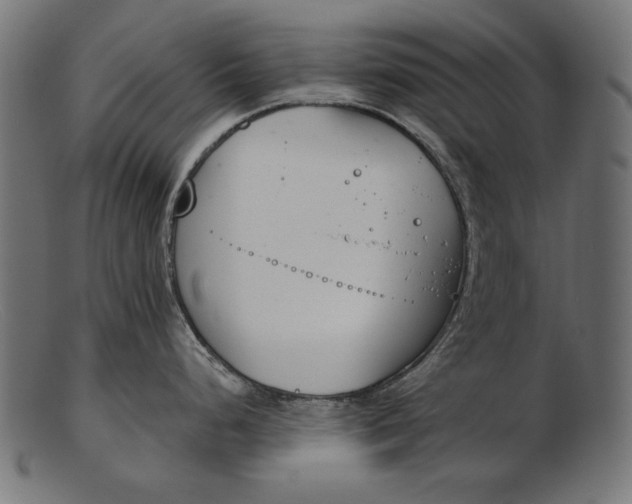 X0000103231248200809111523