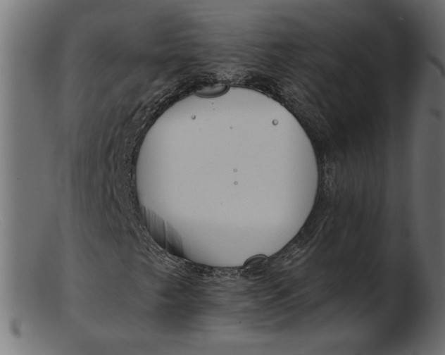 X0000103231249200809111522
