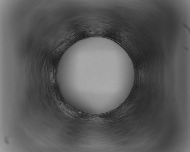 X0000103231250200809111522