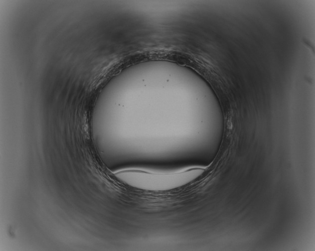 X0000103231252200809111522