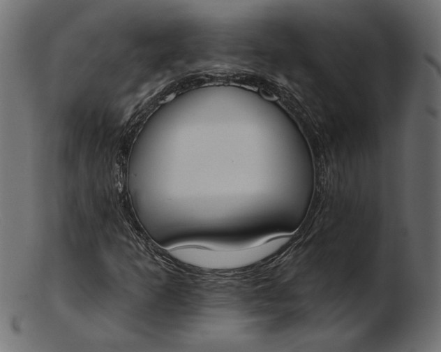 X0000103231253200809111522
