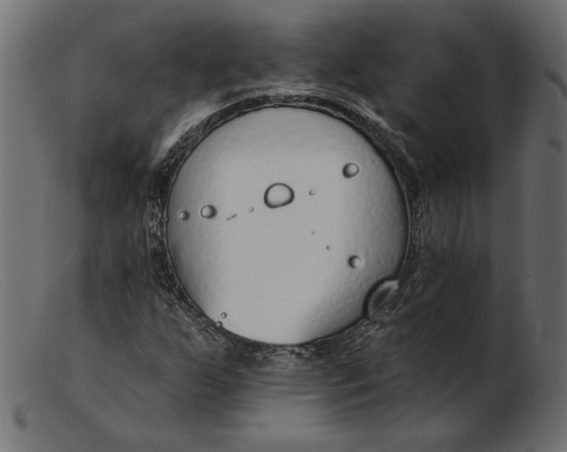 X0000103231255200809111522