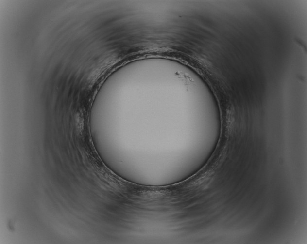 X0000103231257200809111522