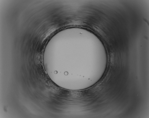X0000103231258200809111522