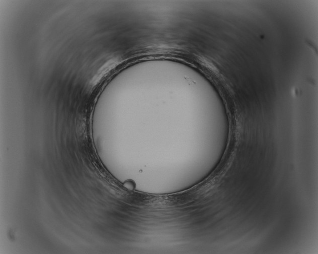 X0000103231259200809111522