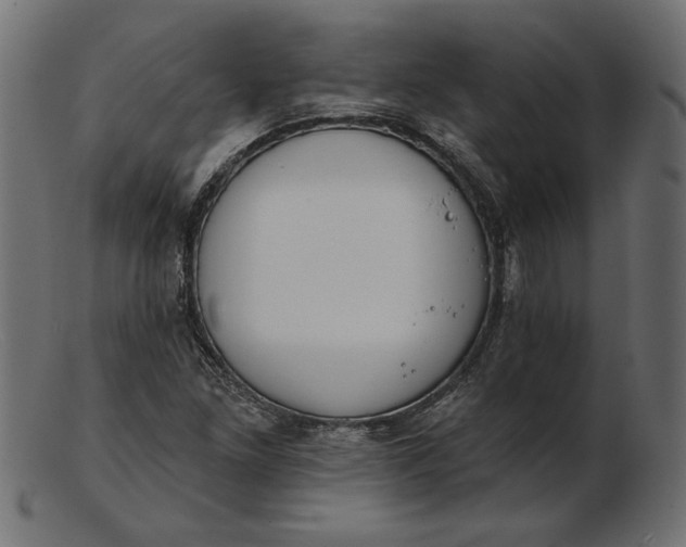 X0000103231261200809111522