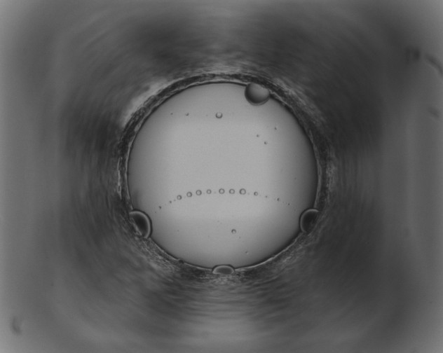 X0000103231262200809111522