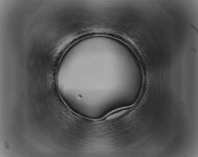 X0000103231263200809111522