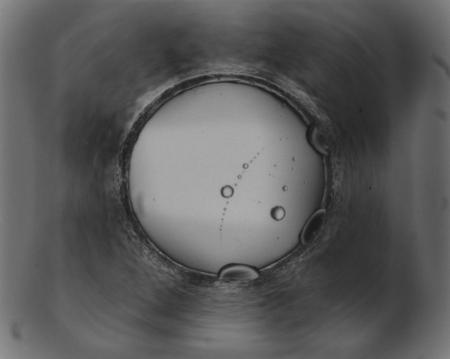X0000103231264200809111522