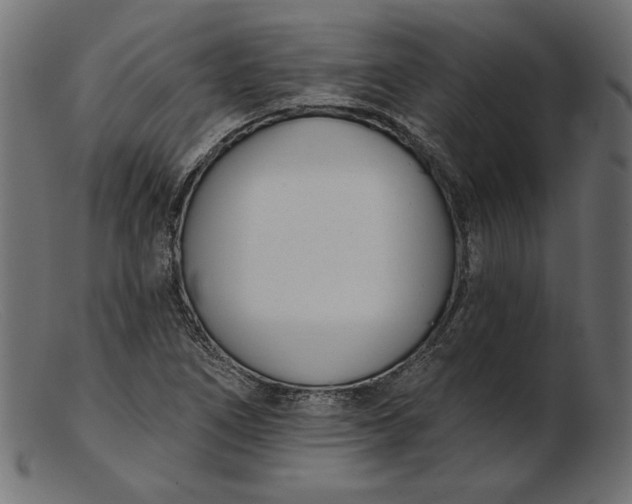 X0000103231266200809111522