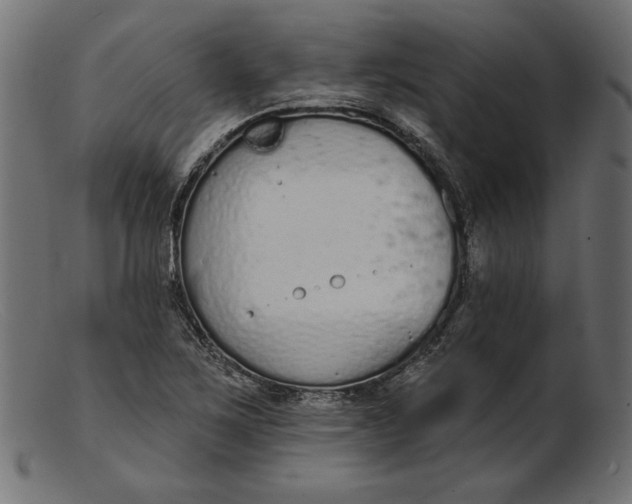 X0000103231267200809111522
