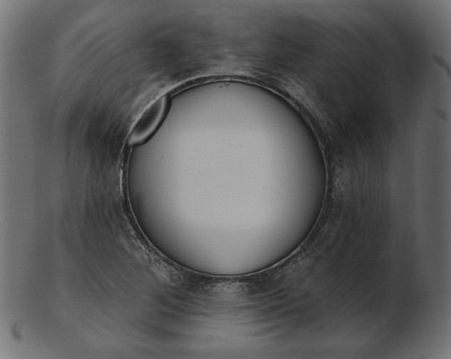X0000103231268200809111522