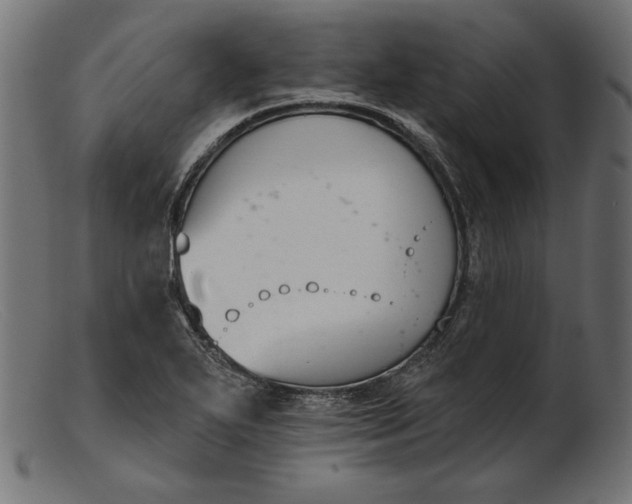 X0000103231271200809111522
