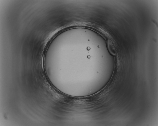 X0000103231272200809111522