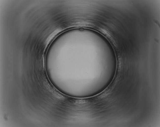 X0000103231275200809111522