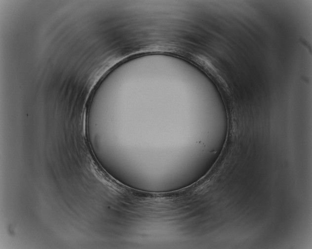 X0000103231276200809111522