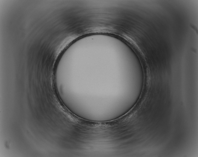 X0000103231277200809111522