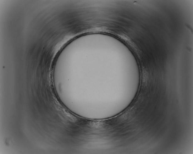 X0000103231278200809111522