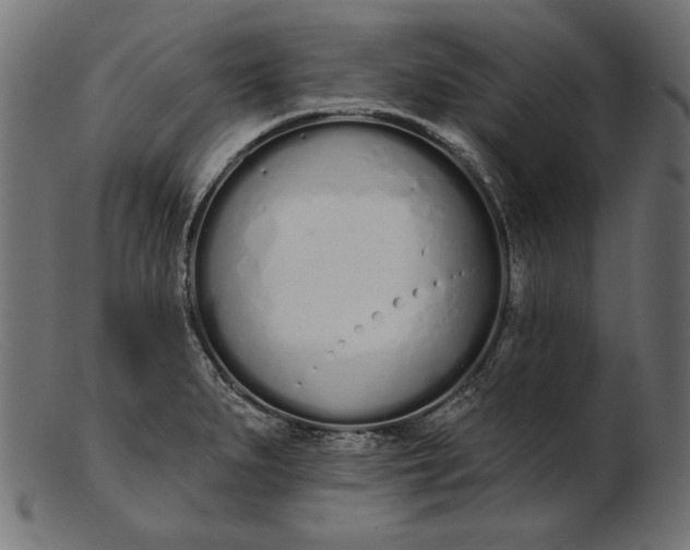 X0000103231279200809111522