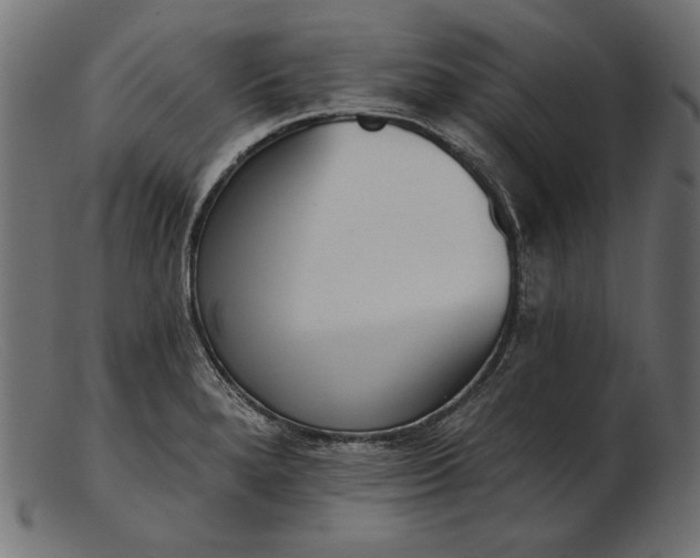 X0000103231280200809111522