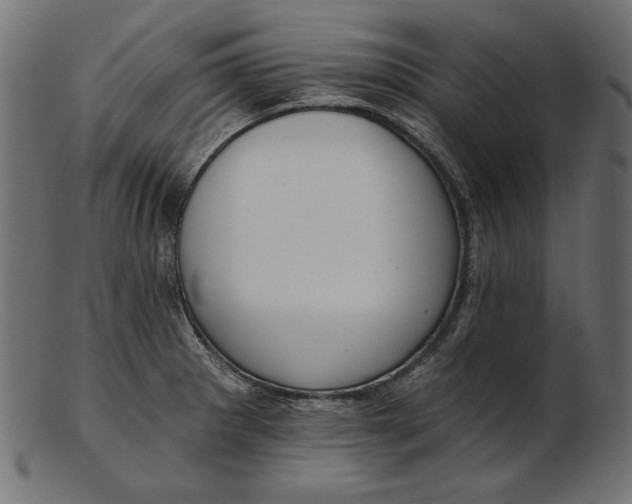 X0000103231281200809111522