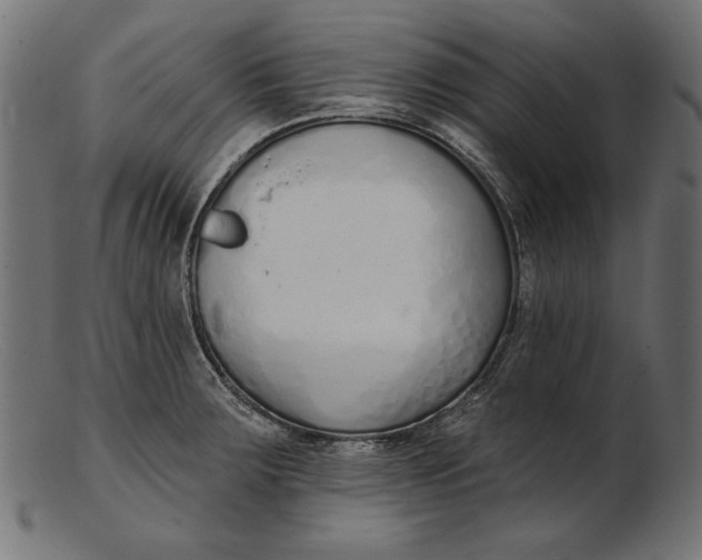 X0000103231283200809111522