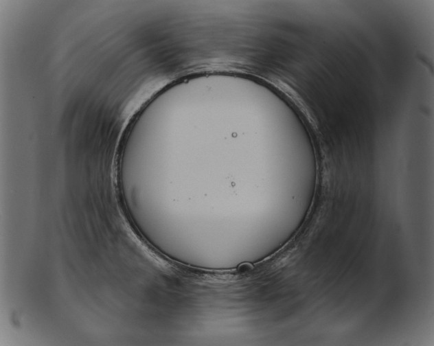 X0000103231285200809111522