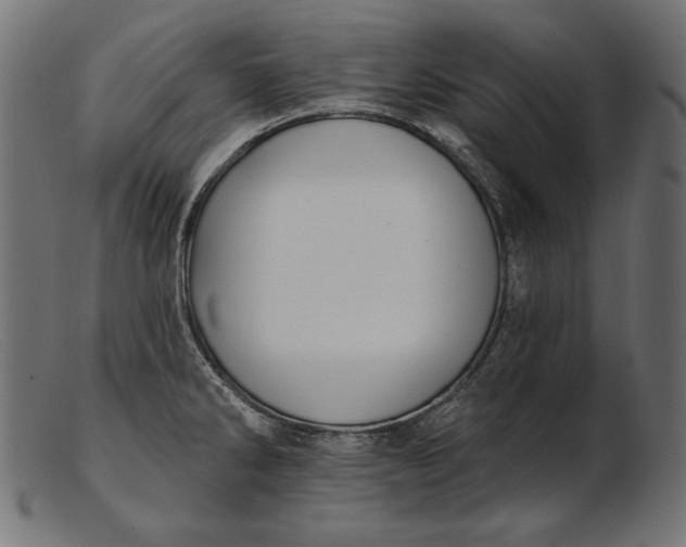 X0000103231286200809111522