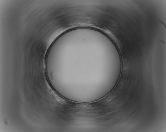 X0000103231287200809111522