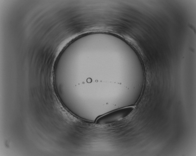 X0000103231288200809111522