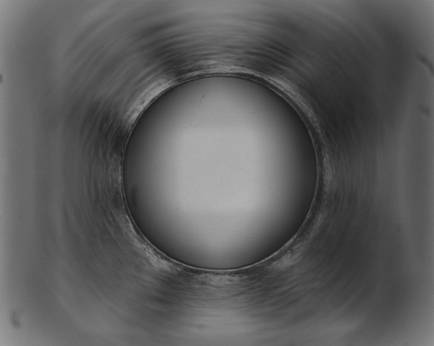X0000103231289200809111522