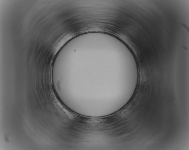 X0000103231290200809111522