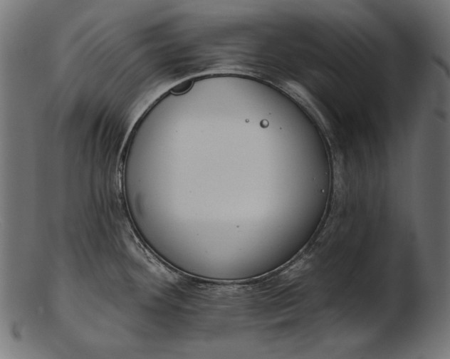 X0000103231292200809111522